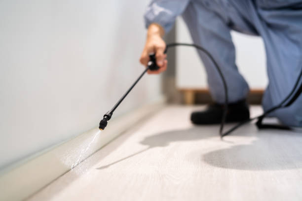 Licensed Termite Control service in Woodstock, IL - Nex Pest Control