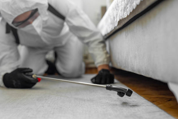 Professional Termite Control technician working in Woodstock, IL