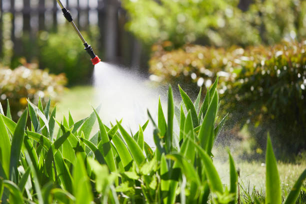 24/7 Emergency Termite Control experts in Woodstock, IL