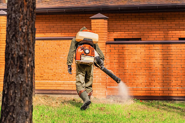 Trusted Termite Control service in Woodstock, IL - Nex Pest Control